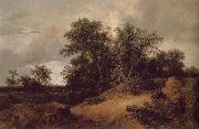 Jacob van Ruisdael Dune Landfscape Germany oil painting artist